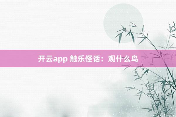 开云app 触乐怪话：观什么鸟