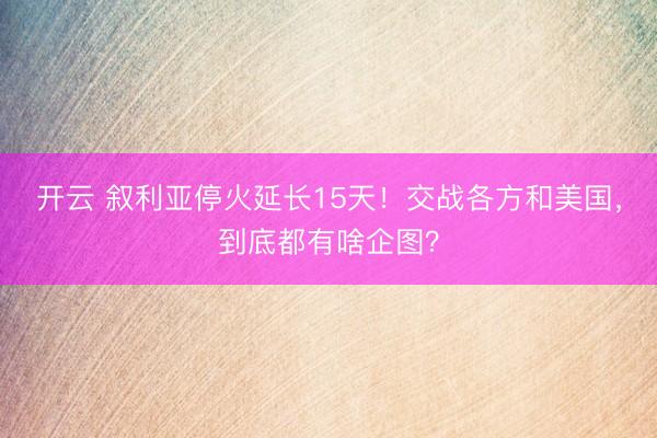 开云 叙利亚停火延长15天!交战各方和美国,到底都有啥企图?