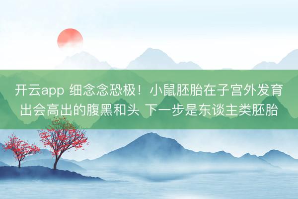 开云app 细念念恐极！小鼠胚胎在子宫外发育出会高出的腹黑和头 下一步是东谈主类胚胎