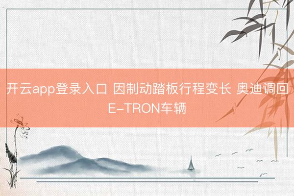 开云app登录入口 因制动踏板行程变长 奥迪调回E-TRON车辆