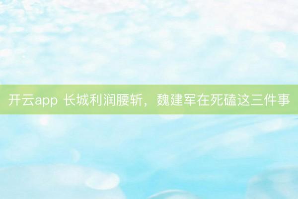 开云app 长城利润腰斩，魏建军在死磕这三件事